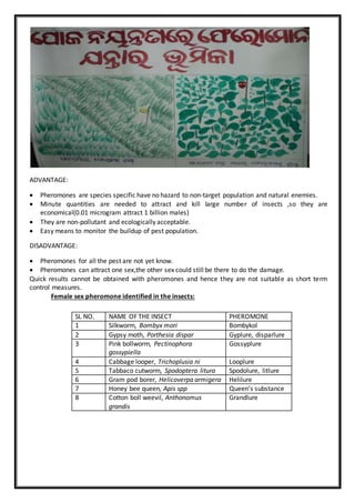 ADVANTAGE:
 Pheromones are species specific have no hazard to non-target population and natural enemies.
 Minute quantities are needed to attract and kill large number of insects ,so they are
economical(0.01 microgram attract 1 billion males)
 They are non-pollutant and ecologically acceptable.
 Easy means to monitor the buildup of pest population.
DISADVANTAGE:
 Pheromones for all the pest are not yet know.
 Pheromones can attract one sex,the other sex could still be there to do the damage.
Quick results cannot be obtained with pheromones and hence they are not suitable as short term
control measures.
Female sex pheromone identified in the insects:
SL NO. NAME OF THE INSECT PHEROMONE
1 Silkworm, Bombyx mori Bombykol
2 Gypsy moth, Porthesia dispar Gyplure, disparlure
3 Pink bollworm, Pectinophora
gossypiella
Gossyplure
4 Cabbage looper, Trichoplusia ni Looplure
5 Tabbaco cutworm, Spodoptera litura Spodolure, litlure
6 Gram pod borer, Helicoverpa armigera Helilure
7 Honey bee queen, Apis spp Queen’s substance
8 Cotton boll weevil, Anthonomus
grandis
Grandlure
 