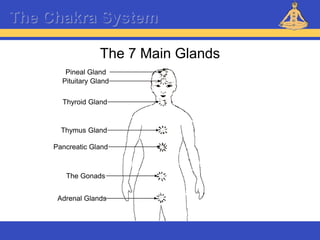 Reiki – Level 1
The Chakra System
The 7 Main Glands
Pineal Gland
Pituitary Gland
Thyroid Gland
Thymus Gland
The Gonads
Adrenal Glands
Pancreatic Gland
 