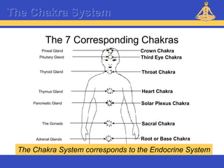 Reiki – Level 1
The Chakra System
The 7 Corresponding Chakras
Pineal Gland
Pituitary Gland
Thyroid Gland
Thymus Gland
The Gonads
Adrenal Glands
Pancreatic Gland
Crown Chakra
Third Eye Chakra
Throat Chakra
Heart Chakra
Solar Plexus Chakra
Sacral Chakra
Root or Base Chakra
The Chakra System corresponds to the Endocrine System
 