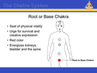 Reiki – Level 1
The Chakra System
Root or Base Chakra
Root or Base Chakra
• Seat of physical vitality
• Urge for survival and
creative expression
• Red color
• Energizes kidneys,
bladder and the spine
 