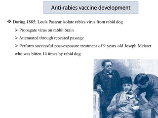 Compiled rabies training for health professionals ppt.pdf
