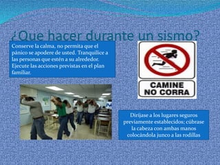 ¿Que hacer durante un sismo? 
Conserve la calma, no permita que el pánico se apodere de usted. Tranquilice a las personas que estén a su alrededor. Ejecute las acciones previstas en el plan familiar. 
Diríjase a los lugares seguros previamente establecidos; cúbrase la cabeza con ambas manos colocándola junco a las rodillas  
