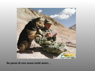 Se pensi di non avere molti amici… 