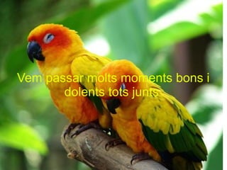 Vem passar molts moments bons i dolents tots junts  