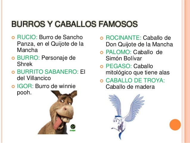 Como Se Llamaba El Burro De Sancho Panza