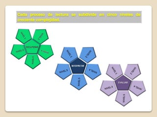 Cada proceso de lectura se subdivide en cinco niveles de
creciente complejidad.
 