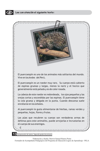 Lee con atención el siguiente texto:
El puercoespín es uno de los animales más solitarios del mundo.
Vive en losAndes del Perú.
El puercoespín es un roedor muy raro. Su cuerpo está cubierto
de espinas gruesas y largas, menos la nariz y el hocico que
generalmente está pelada y es de color rosada.
La cabeza de este roedor es redondeada, los ojos pequeños y las
orejas cortas y escondidas por las espinas. El puercoespín tiene
la cola gruesa y delgada en la punta. Cuando descansa suele
enrollarse en los árboles.
Al puercoespín le gusta alimentarse de hierbas, ramas verdes y
pequeñas, hojas, flores y frutas.
Las púas que recubren su cuerpo son verdaderas armas de
defensa para este animalito, puede arrojarlas e incrustarlas en
el cuerpo de sus enemigos.
c
5 Comprensión de textos: Segundo grado de primaria
13
Elaboración y diseño: Darwin Samuel Ramos Puma
Formador de Acompañante Pedagógicos del Programa de Educación Logros de Aprendizaje - PELA
 