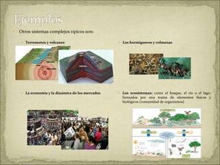 Otros sistemas complejos típicos son:  Terremotos y volcanes Los hormigueros y colmenas La economía y la dinámica de los mercados Los ecosistemas:  como el bosque, el río o el lago, formados por una trama de elementos físicos y biológicos (comunidad de organismos) 