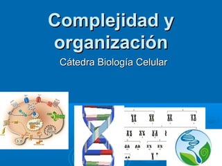 Complejidad yComplejidad y
organizaciónorganización
Cátedra Biología CelularCátedra Biología Celular
11
 