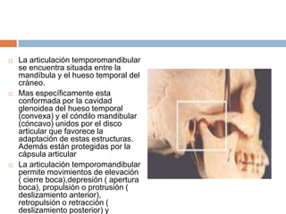 





La articulación temporomandibular
se encuentra situada entre la
mandíbula y el hueso temporal del
cráneo.
Mas específicamente esta
conformada por la cavidad
glenoidea del hueso temporal
(convexa) y el cóndilo mandibular
(cóncavo) unidos por el disco
articular que favorece la
adaptación de estas estructuras.
Además están protegidas por la
cápsula articular
La articulación temporomandibular
permite movimientos de elevación
( cierre boca),depresión ( apertura
boca), propulsión o protrusión (
deslizamiento anterior),
retropulsión o retracción (
deslizamiento posterior) y

 