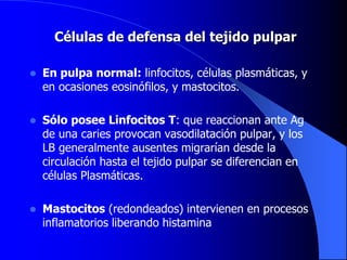 Células de defensa del tejido pulpar
 En pulpa normal: linfocitos, células plasmáticas, y
en ocasiones eosinófilos, y mastocitos.
 Sólo posee Linfocitos T: que reaccionan ante Ag
de una caries provocan vasodilatación pulpar, y los
LB generalmente ausentes migrarían desde la
circulación hasta el tejido pulpar se diferencian en
células Plasmáticas.
 Mastocitos (redondeados) intervienen en procesos
inflamatorios liberando histamina
 
