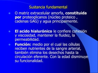 Sustancia fundamental
 O matriz extracelular amorfa, constituida
por proteoglicanos (núcleo proteico ,
cadenas GAG) y agua principalmente.
 El acido hialurónico le confiere cohesión
y viscosidad, mantener la fluidez, la
permeabilidad.
 Función: medio por el cual las células
reciben nutrientes de la sangre arterial,
también elimina los desechos hasta la
circulación eferente. Con la edad disminuye
su funcionalidad.
 