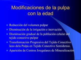 Modificaciones de la pulpa
con la edad
 Reducción del volumen pulpar
 Disminución de la irrigación e inervación
 Disminución gradual de la población celular del
tejido conectivo pulpar
 Transformación Progresiva del Tejido Conectivo
laxo dela Pulpa en Tejido Conectivo Semidenso.
 Aparición de Centros Irregulares de Mineralización
 