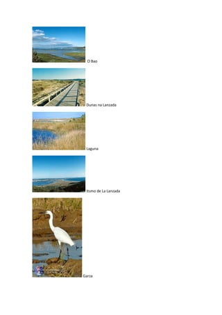 Complejo intermareal umia