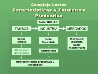 Complejo Lácteo Características y Estructura Productiva TAMBOS MERCADOS INDUSTRIA Sector  Primario Sector Secundario Distribución minorista. Súper-Hipermercado Heterogeneidades productivas y tecnológicas Estratificada Atomizada y diferenciada Sector NÚCLEO 