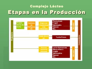 Complejo Lácteo Etapas en la Producción 