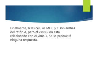 Finalmente, si las células MHC y T son ambas
del ratón A, pero el virus 2 no está
relacionado con el virus 1, no se producirá
ninguna respuesta.
 