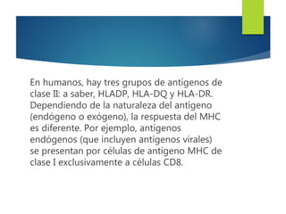 En humanos, hay tres grupos de antígenos de
clase II: a saber, HLADP, HLA-DQ y HLA-DR.
Dependiendo de la naturaleza del antígeno
(endógeno o exógeno), la respuesta del MHC
es diferente. Por ejemplo, antígenos
endógenos (que incluyen antígenos virales)
se presentan por células de antígeno MHC de
clase I exclusivamente a células CD8.
 