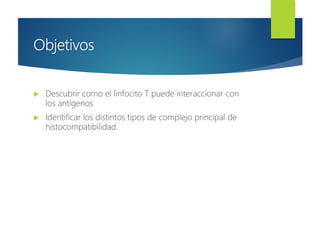 Objetivos
 Descubrir como el linfocito T puede interaccionar con
los antígenos
 Identificar los distintos tipos de complejo principal de
histocompatibilidad.
 