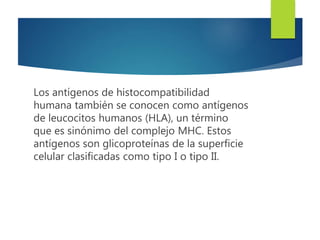 Los antígenos de histocompatibilidad
humana también se conocen como antígenos
de leucocitos humanos (HLA), un término
que es sinónimo del complejo MHC. Estos
antígenos son glicoproteínas de la superficie
celular clasificadas como tipo I o tipo II.
 