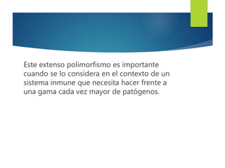 Este extenso polimorfismo es importante
cuando se lo considera en el contexto de un
sistema inmune que necesita hacer frente a
una gama cada vez mayor de patógenos.
 