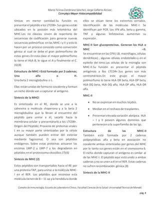Complejo mayor de histocompatibilidad