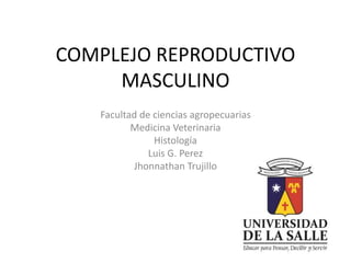 COMPLEJO REPRODUCTIVO 
MASCULINO 
Facultad de ciencias agropecuarias 
Medicina Veterinaria 
Histología 
Luis G. Perez 
Jhonnathan Trujillo 
 