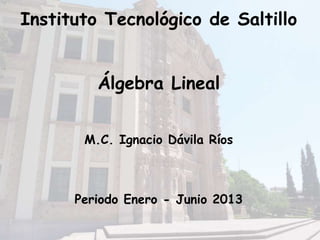 Instituto Tecnológico de Saltillo
Álgebra Lineal
M.C. Ignacio Dávila Ríos
Periodo Enero - Junio 2013
 