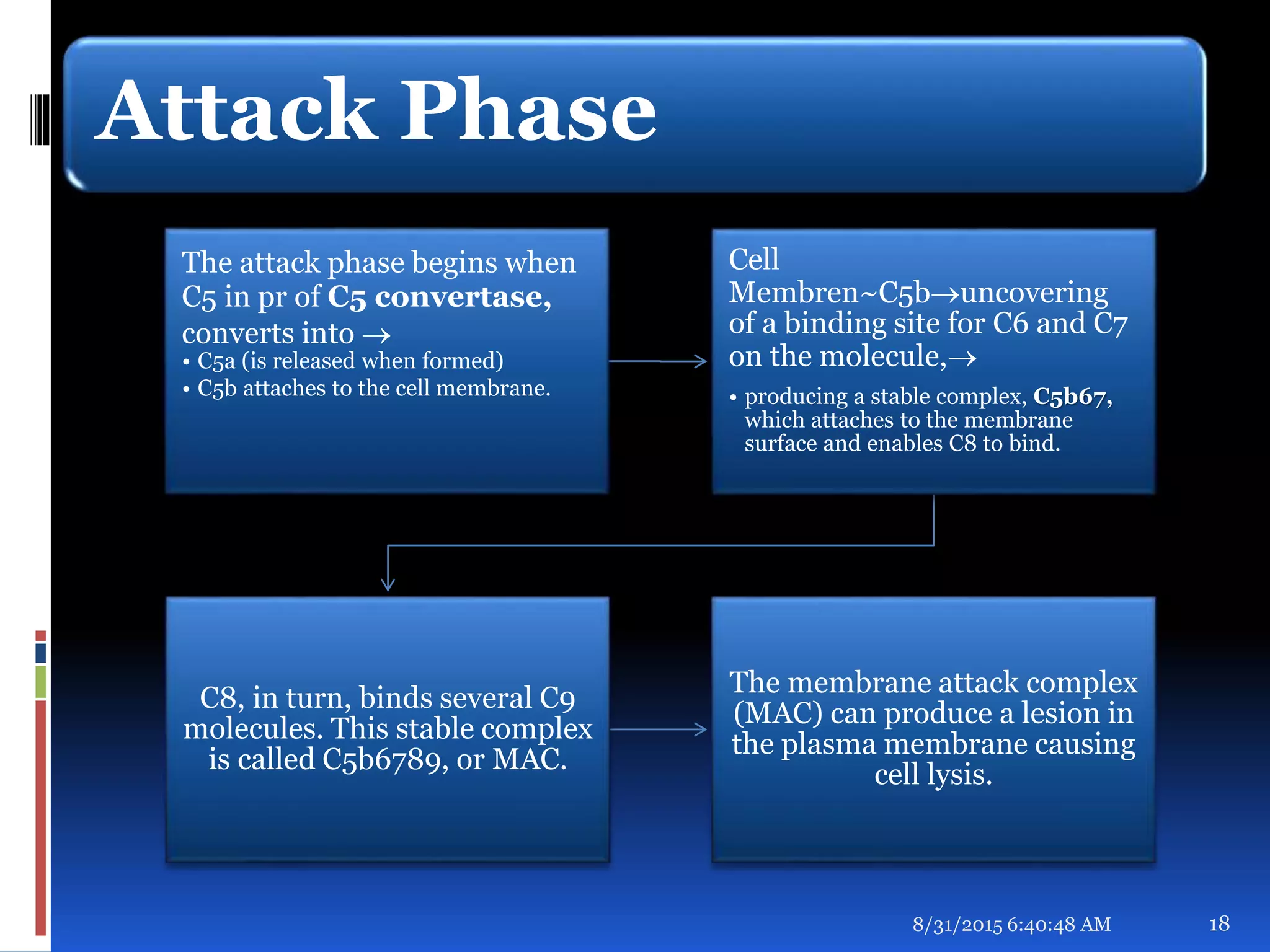 Attack Phase
The attack phase begins when
C5 in pr of C5 convertase,
converts into 
• C5a (is released when formed)
• C5b attaches to the cell membrane.
Cell
Membren~C5buncovering
of a binding site for C6 and C7
on the molecule,
• producing a stable complex, C5b67,
which attaches to the membrane
surface and enables C8 to bind.
C8, in turn, binds several C9
molecules. This stable complex
is called C5b6789, or MAC.
The membrane attack complex
(MAC) can produce a lesion in
the plasma membrane causing
cell lysis.
8/31/2015 6:40:48 AM 18
 