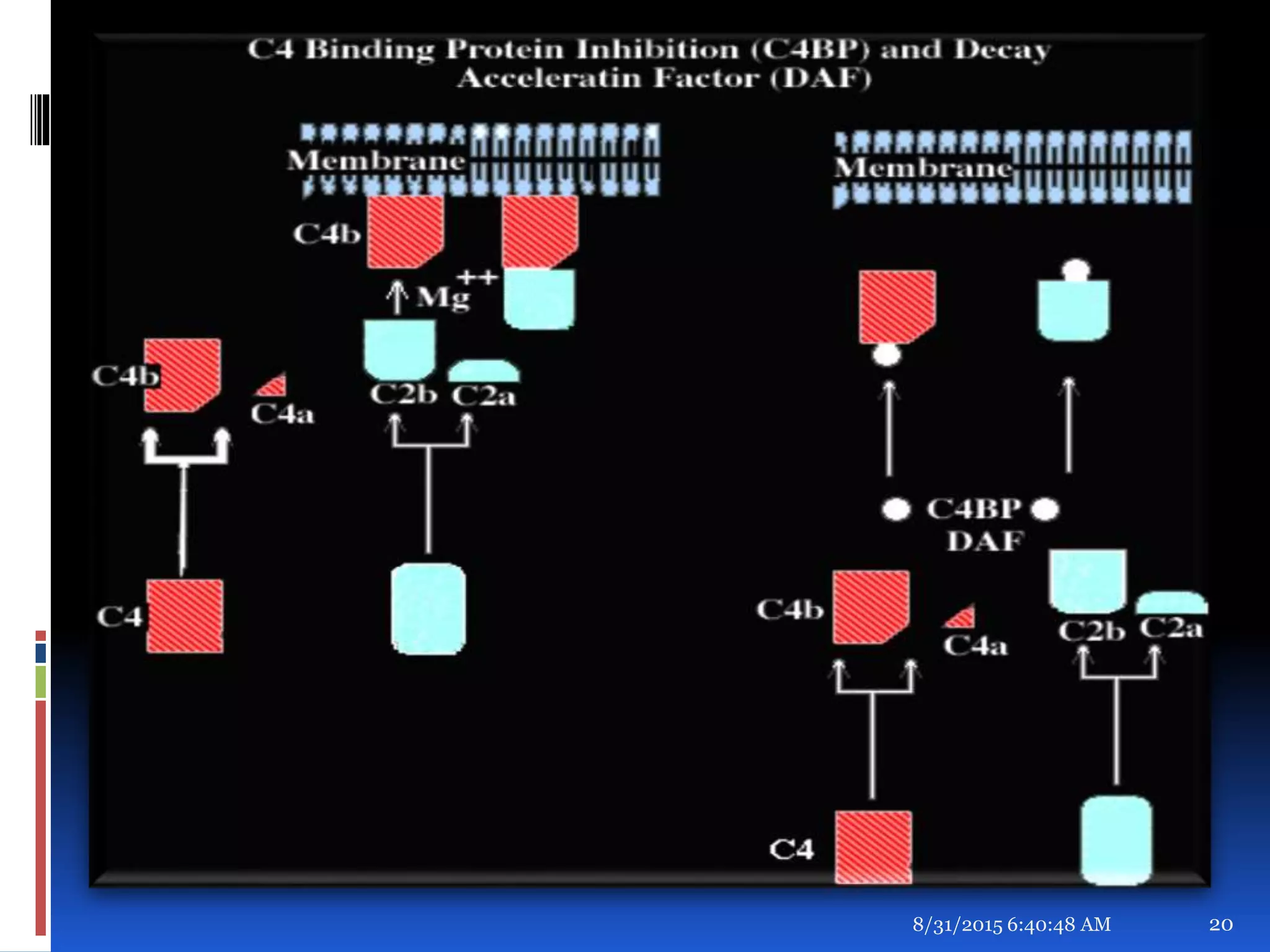 8/31/2015 6:40:48 AM 20
 
