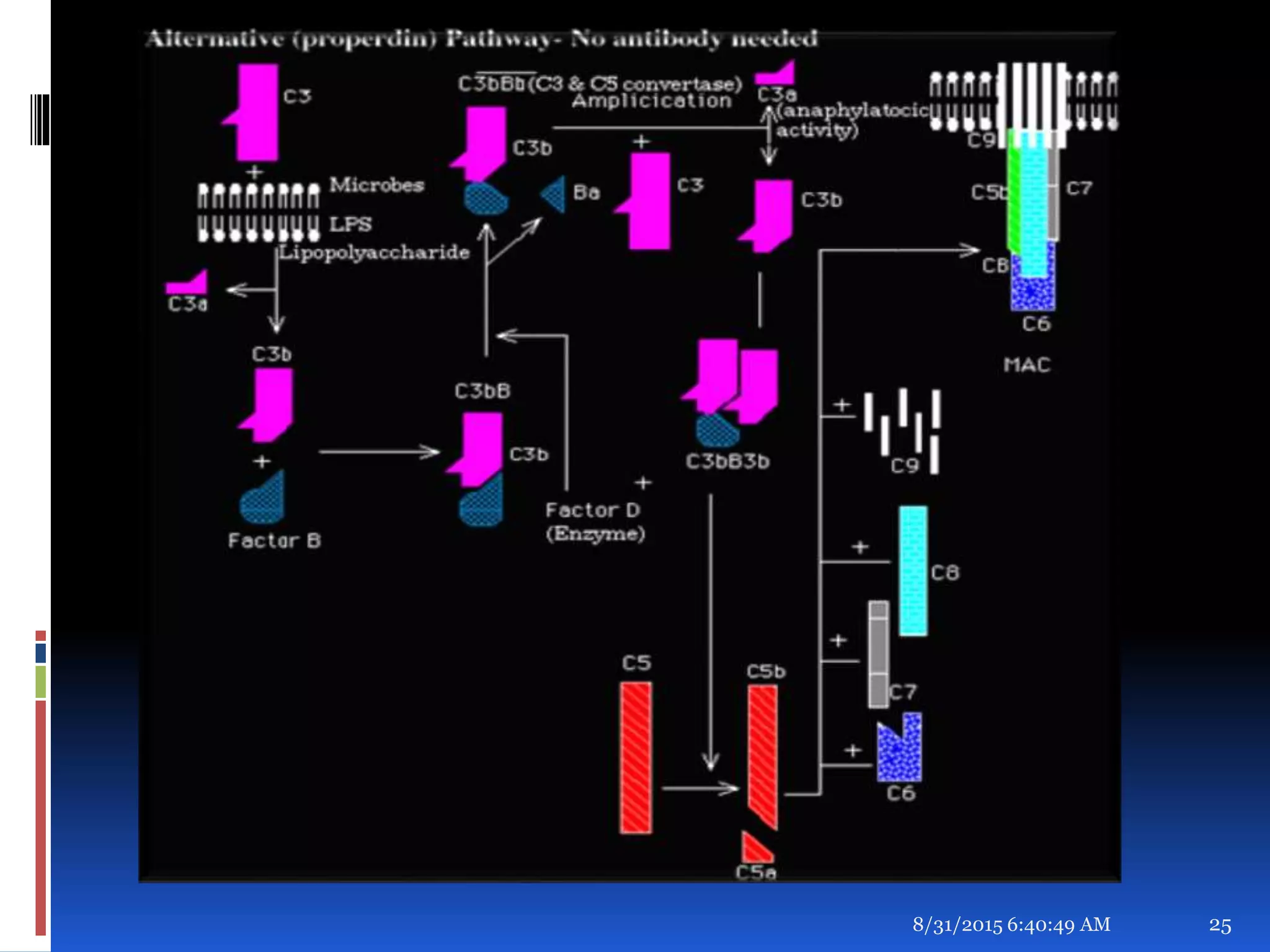 8/31/2015 6:40:49 AM 25
 
