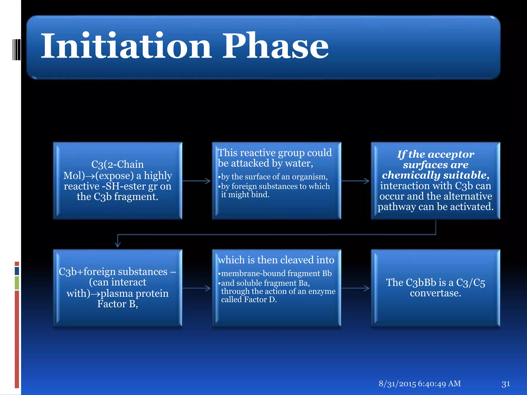 Initiation Phase
C3(2-Chain
Mol)(expose) a highly
reactive -SH-ester gr on
the C3b fragment.
This reactive group could
be attacked by water,
•by the surface of an organism,
•by foreign substances to which
it might bind.
If the acceptor
surfaces are
chemically suitable,
interaction with C3b can
occur and the alternative
pathway can be activated.
C3b+foreign substances –
(can interact
with)plasma protein
Factor B,
which is then cleaved into
•membrane-bound fragment Bb
•and soluble fragment Ba,
through the action of an enzyme
called Factor D.
The C3bBb is a C3/C5
convertase.
8/31/2015 6:40:49 AM 31
 