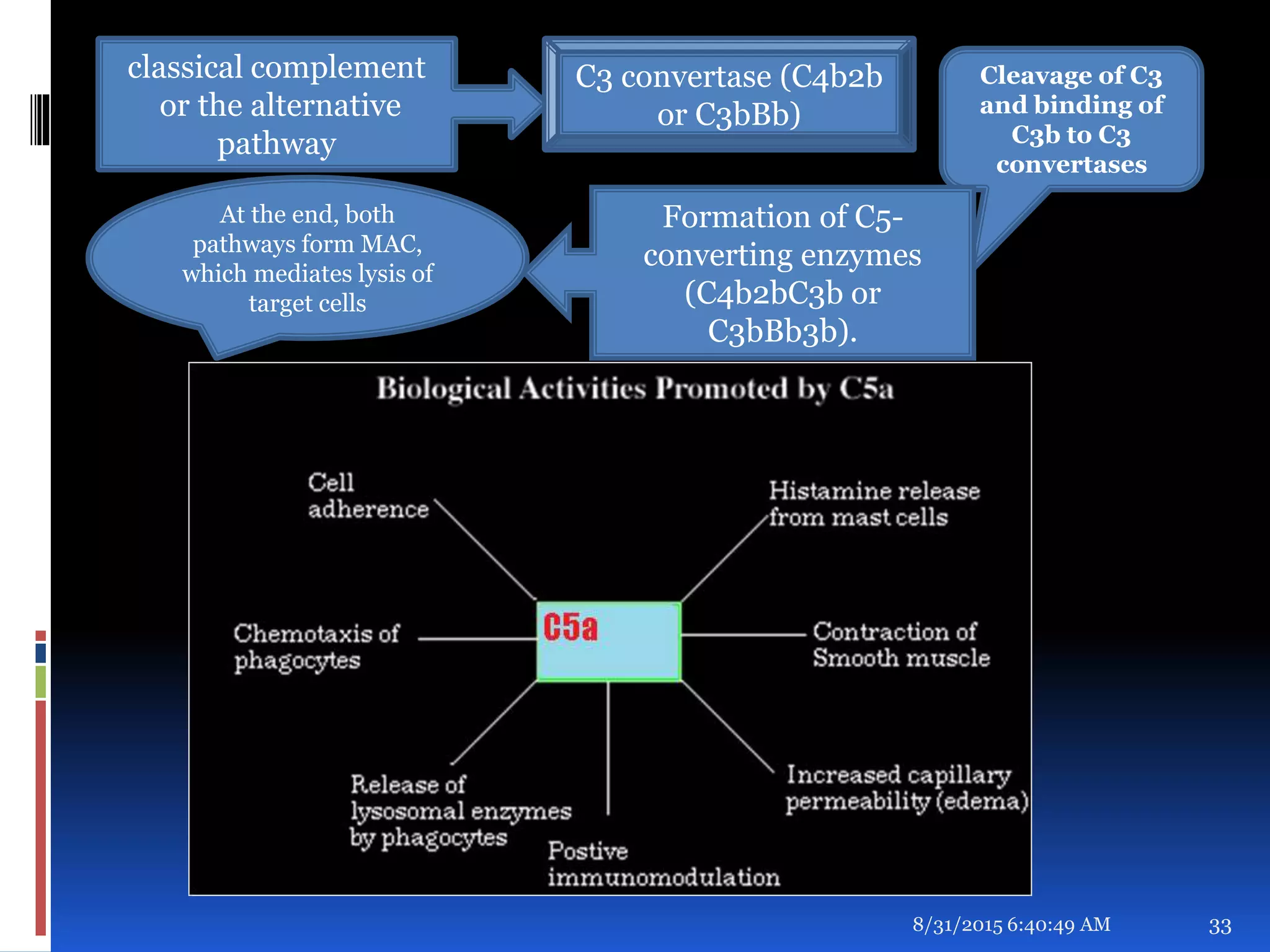 8/31/2015 6:40:49 AM 33
classical complement
or the alternative
pathway
C3 convertase (C4b2b
or C3bBb)
Cleavage of C3
and binding of
C3b to C3
convertases
Formation of C5-
converting enzymes
(C4b2bC3b or
C3bBb3b).
At the end, both
pathways form MAC,
which mediates lysis of
target cells
 