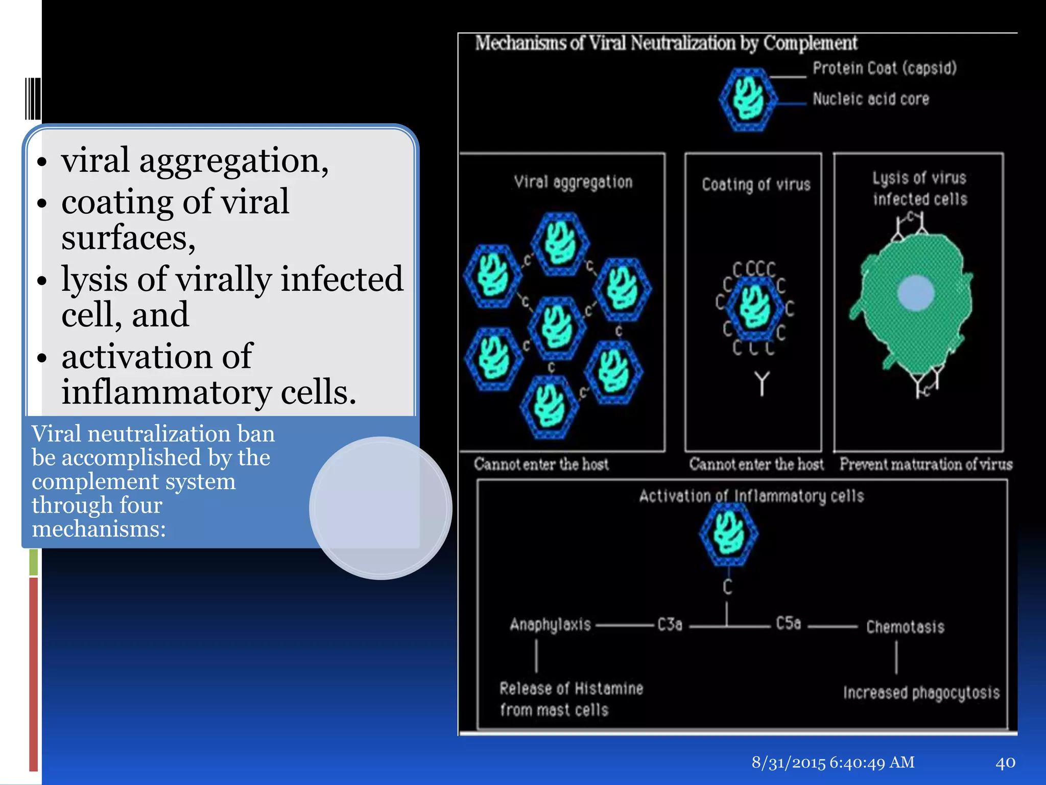 8/31/2015 6:40:49 AM 40
• viral aggregation,
• coating of viral
surfaces,
• lysis of virally infected
cell, and
• activation of
inflammatory cells.
Viral neutralization ban
be accomplished by the
complement system
through four
mechanisms:
 