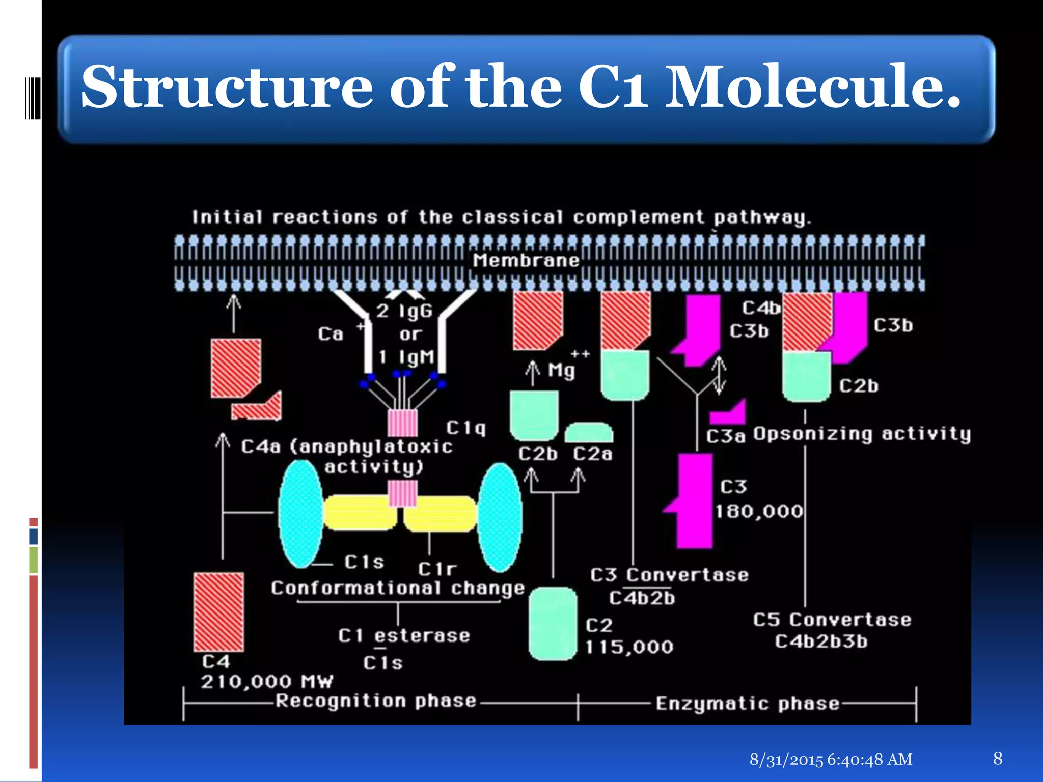 Structure of the C1 Molecule.
8/31/2015 6:40:48 AM 8
 