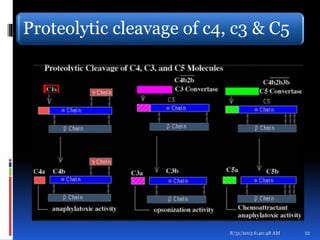 Proteolytic cleavage of c4, c3 & C5
8/31/2015 6:40:48 AM 12
 