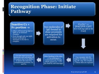 Recognition Phase: Initiate
Pathway
Inactive C1 +
Fc portion 
• either cell-bound Ig (IgG or
IgM) or an immune
complex.
• Even though only one IgM-
bound molecule is
necessary to fix the C1
complex,
two molecules of
IgG bound in
close proximity
are required for
activation to
occur.
C1+Ca++
INACTIVE UNIT
1C1=[1C1q+2(C1r &
C1s)]
C1q~recepter site (Fc
region of 2 adjacent Abs)
Ag+AbAg~Ab complex
 These sites are exposed
After binding to the sites,
 C1q undergoes a
conformational change,
which causes C1r  C1*
(by itself by self-cleavage)
C1r now sees C1s as its
substrate and activation of
C1s gives rise to its ability
to cleave the next two
complement proteins, C4
and C2.
8/31/2015 6:40:48 AM 15
 