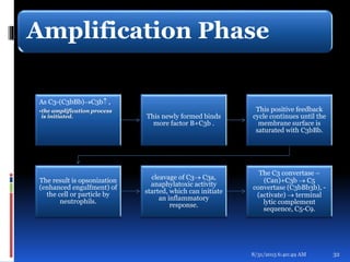 Amplification Phase
As C3-(C3bBb)C3b ,
•the amplification process
is initiated. This newly formed binds
more factor B+C3b .
This positive feedback
cycle continues until the
membrane surface is
saturated with C3bBb.
The result is opsonization
(enhanced engulfment) of
the cell or particle by
neutrophils.
cleavage of C3 C3a,
anaphylatoxic activity
started, which can initiate
an inflammatory
response.
The C3 convertase –
(Can)+C3b  C5
convertase (C3bBb3b), -
(activate)  terminal
lytic complement
sequence, C5-C9.
8/31/2015 6:40:49 AM 32
 