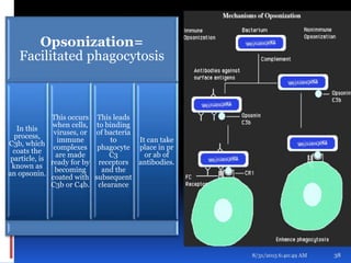 8/31/2015 6:40:49 AM 38
Opsonization=
Facilitated phagocytosis
In this
process,
C3b, which
coats the
particle, is
known as
an opsonin.
This occurs
when cells,
viruses, or
immune
complexes
are made
ready for by
becoming
coated with
C3b or C4b.
This leads
to binding
of bacteria
to
phagocyte
C3
receptors
and the
subsequent
clearance
It can take
place in pr
or ab of
antibodies.
 