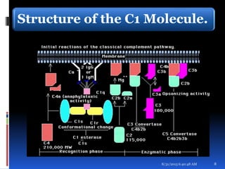 Structure of the C1 Molecule.
8/31/2015 6:40:48 AM 8
 