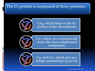 The C1 protein is composed of three proteins:
C1q, which binds to the Fc
portion of the Ab molecule;
C1s, which can enzymatically
cleave the next complement
component,
C4; and C1r, which acts as a
bridge connecting C1q to C1s
8/31/2015 6:40:48 AM 9
 