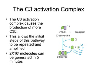 Complement System | PPT