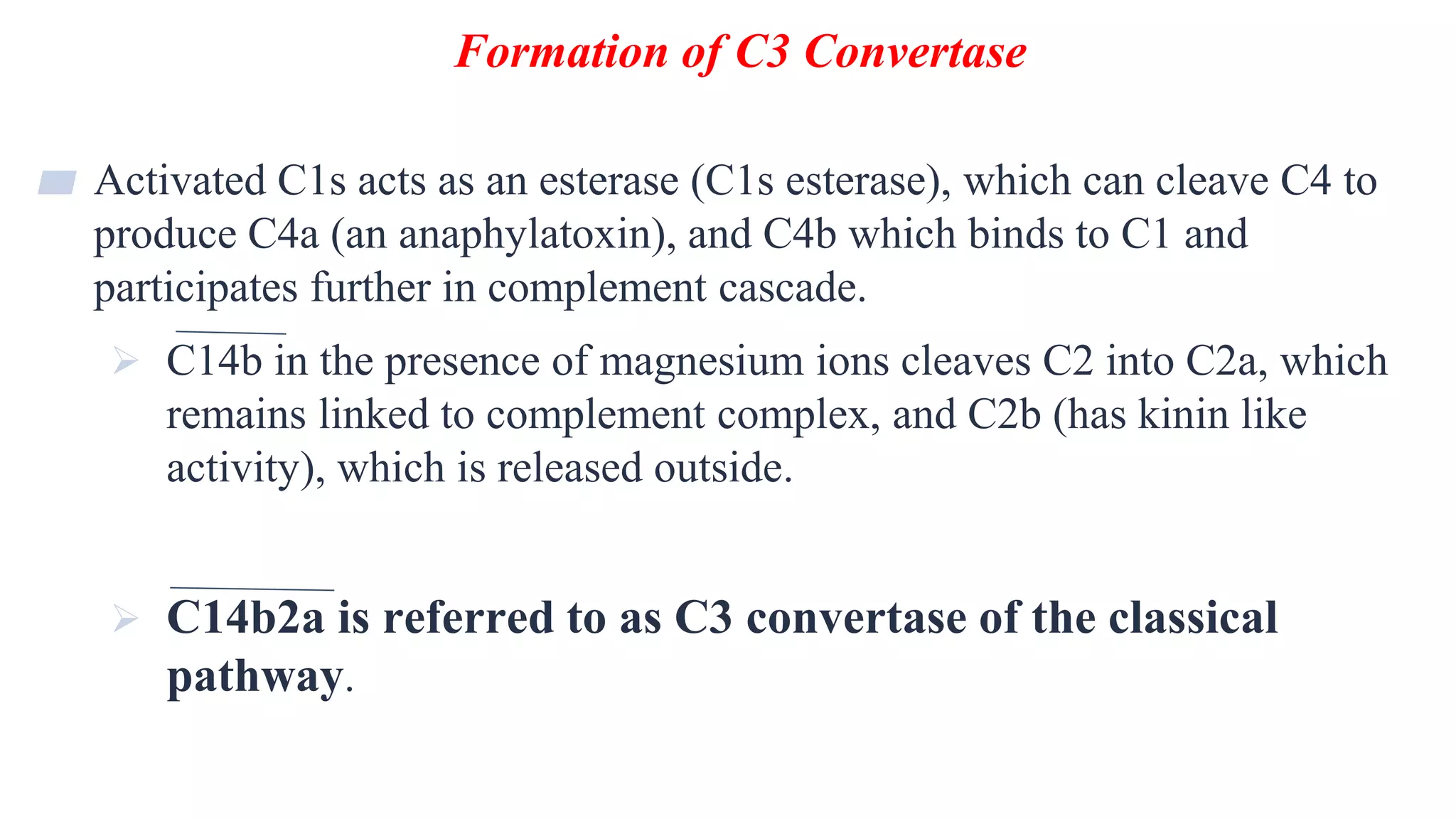 Formation of C3 Convertase
12
▰ Activated C1s acts as an esterase (C1s esterase), which can cleave C4 to
produce C4a (an anaphylatoxin), and C4b which binds to C1 and
participates further in complement cascade.
 C14b in the presence of magnesium ions cleaves C2 into C2a, which
remains linked to complement complex, and C2b (has kinin like
activity), which is released outside.
 C14b2a is referred to as C3 convertase of the classical
pathway.
 