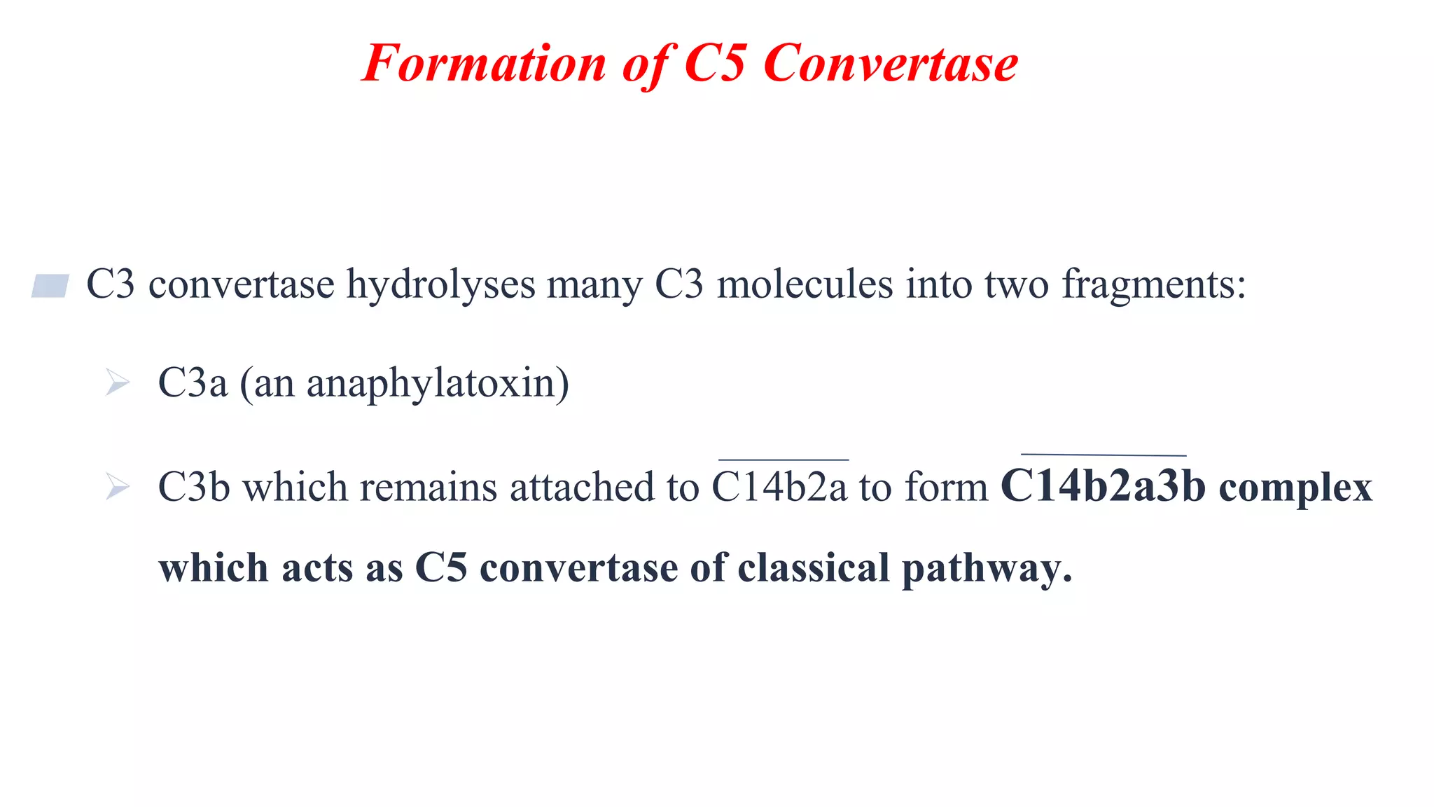 Formation of C5 Convertase
13
▰ C3 convertase hydrolyses many C3 molecules into two fragments:
 C3a (an anaphylatoxin)
 C3b which remains attached to C14b2a to form C14b2a3b complex
which acts as C5 convertase of classical pathway.
 