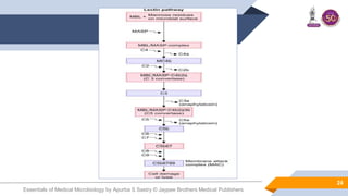 Essentials of Medical Microbiology by Apurba S Sastry © Jaypee Brothers Medical Publishers
24
 