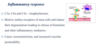 Inflammatory response
28
▰ C3a, C4a and C5a - Anaphylatoxins.
▰ Bind to surface receptors of mast cells and induce
their degranulation leading to release of histamine
and other inflammatory mediators.
▰ Cause vasoconstriction, and increased vascular
permeability.
 