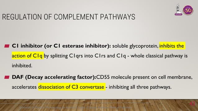 Complement system and its synthesis + activation | PPTX | Infectious ...