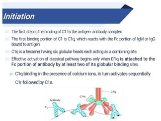 complement system microbiology immune system | PPT
