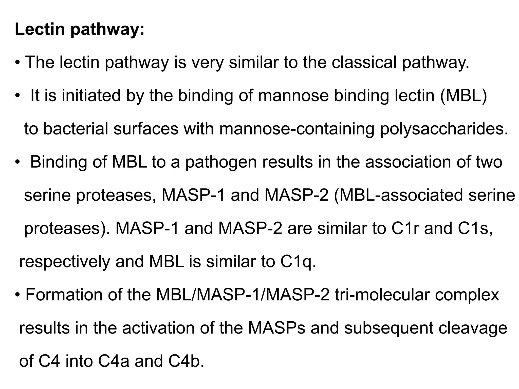 Lectin pathway:
• The lectin pathway is very similar to the classical pathway.
• It is initiated by the binding of mannose binding lectin (MBL)
to bacterial surfaces with mannose-containing polysaccharides.
• Binding of MBL to a pathogen results in the association of two
serine proteases, MASP-1 and MASP-2 (MBL-associated serine
proteases). MASP-1 and MASP-2 are similar to C1r and C1s,
respectively and MBL is similar to C1q.
• Formation of the MBL/MASP-1/MASP-2 tri-molecular complex
results in the activation of the MASPs and subsequent cleavage
of C4 into C4a and C4b.
 