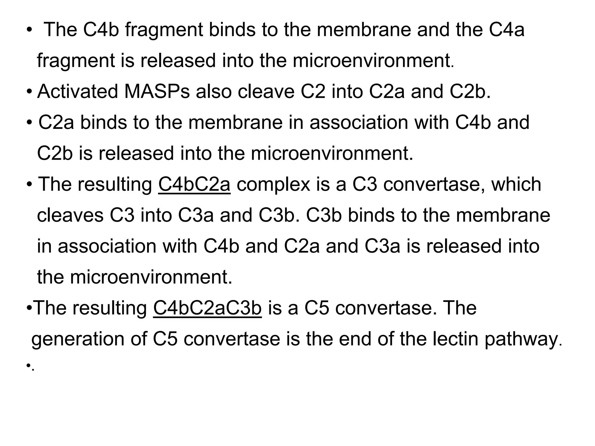 • The C4b fragment binds to the membrane and the C4a
fragment is released into the microenvironment.
• Activated MASPs also cleave C2 into C2a and C2b.
• C2a binds to the membrane in association with C4b and
C2b is released into the microenvironment.
• The resulting C4bC2a complex is a C3 convertase, which
cleaves C3 into C3a and C3b. C3b binds to the membrane
in association with C4b and C2a and C3a is released into
the microenvironment.
•The resulting C4bC2aC3b is a C5 convertase. The
generation of C5 convertase is the end of the lectin pathway.
•.
 